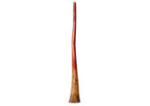 Tristan O'Meara Didgeridoo (TM458)